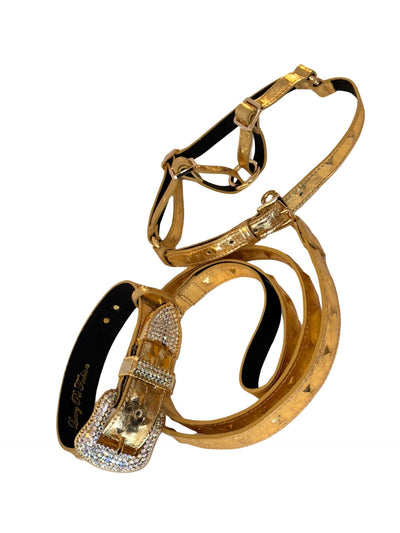 Glam Gold Embossed Studded Italian Leather Collar by Allysa Payne Beverly Hills - main product image for Resin Society
