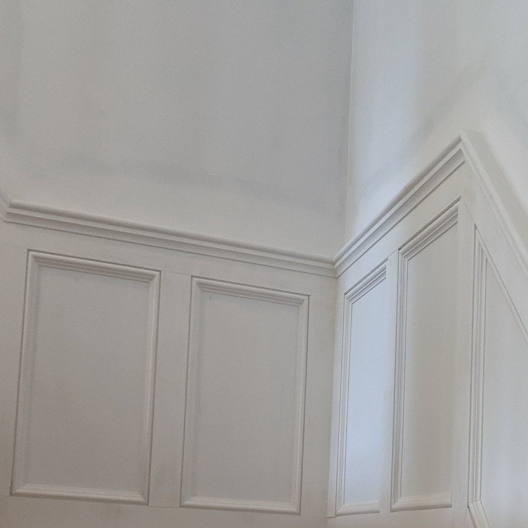 EWPM23 unfinished nose and cove panel molding 1-1/4 inch wide by 3/4 inch thick in various hardwood species