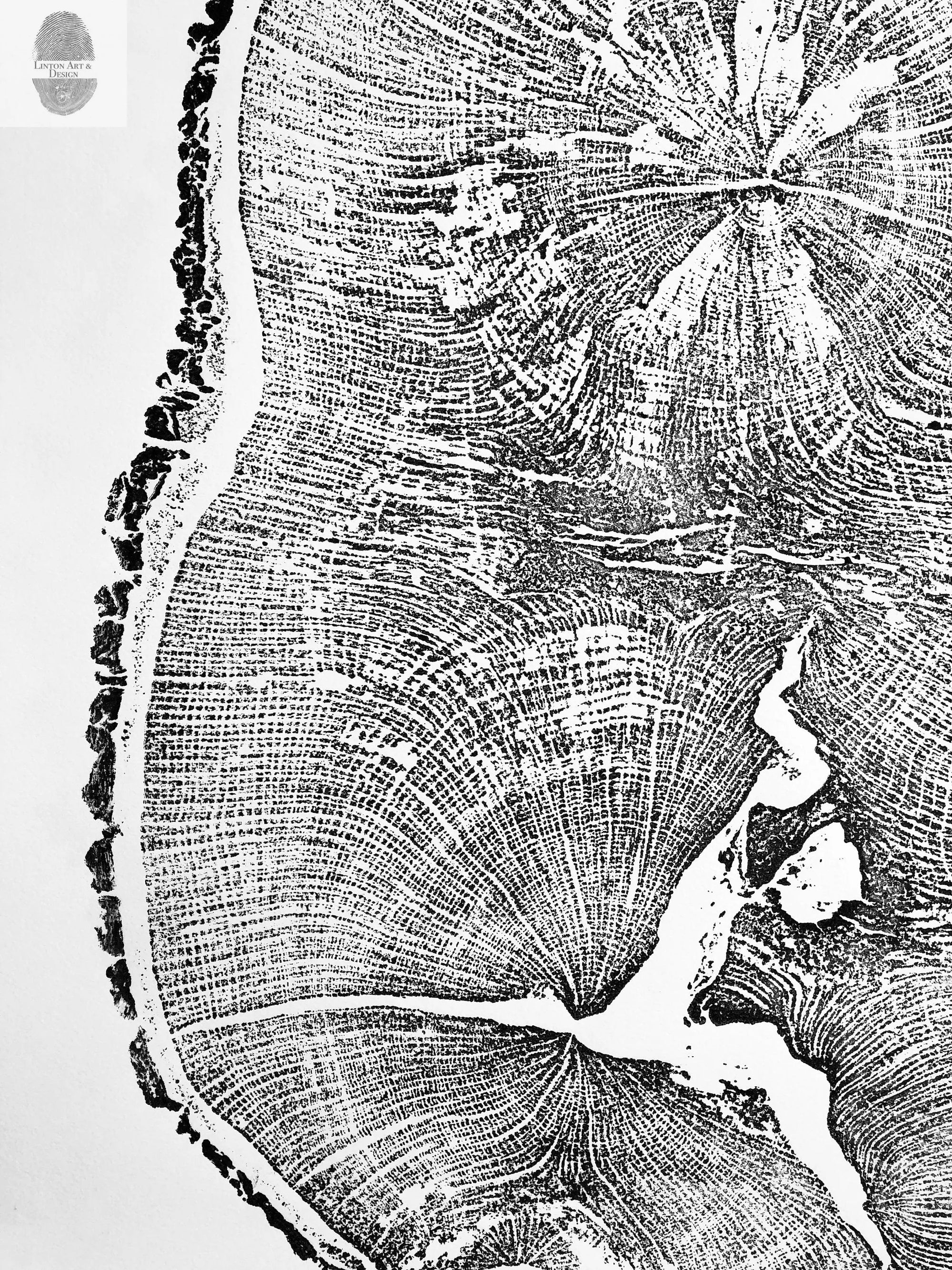 Black and white woodcut art print showing detailed tree rings of English oak by Erik Linton