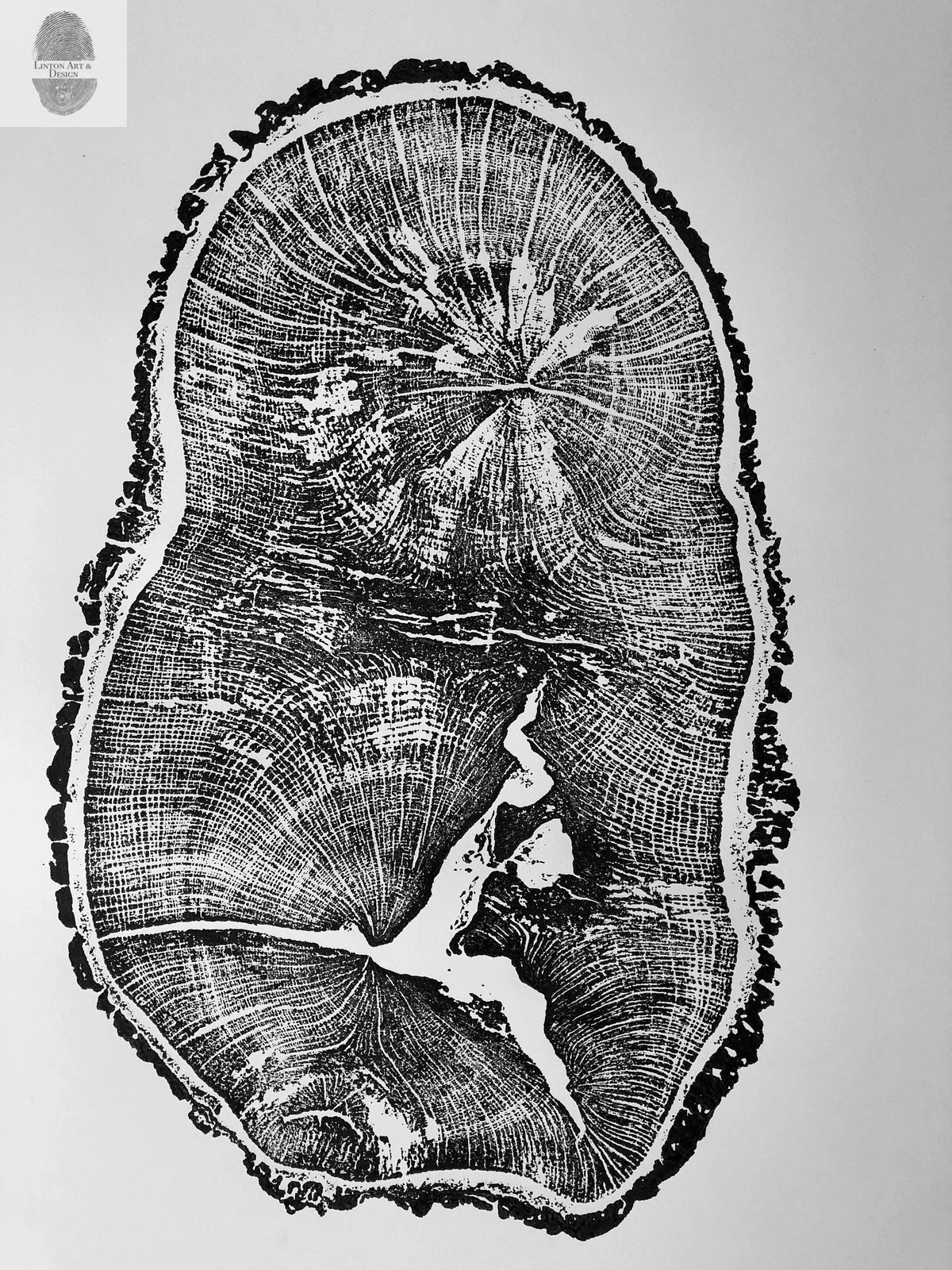 Black and white art print of an English Oak tree cross-section showing detailed growth rings and natural cracks, by Erik Linton, sized 18x24 inches.