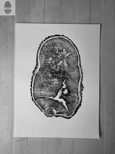 English Oak, Tree Ring Art Print by Erik Linton, 18x24