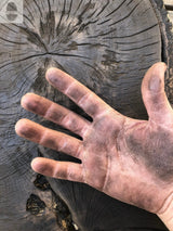 Close-up of a weathered, palm-up hand with dirt on skin resting over a cross-section of an English oak tree trunk showing detailed growth rings and cracks.