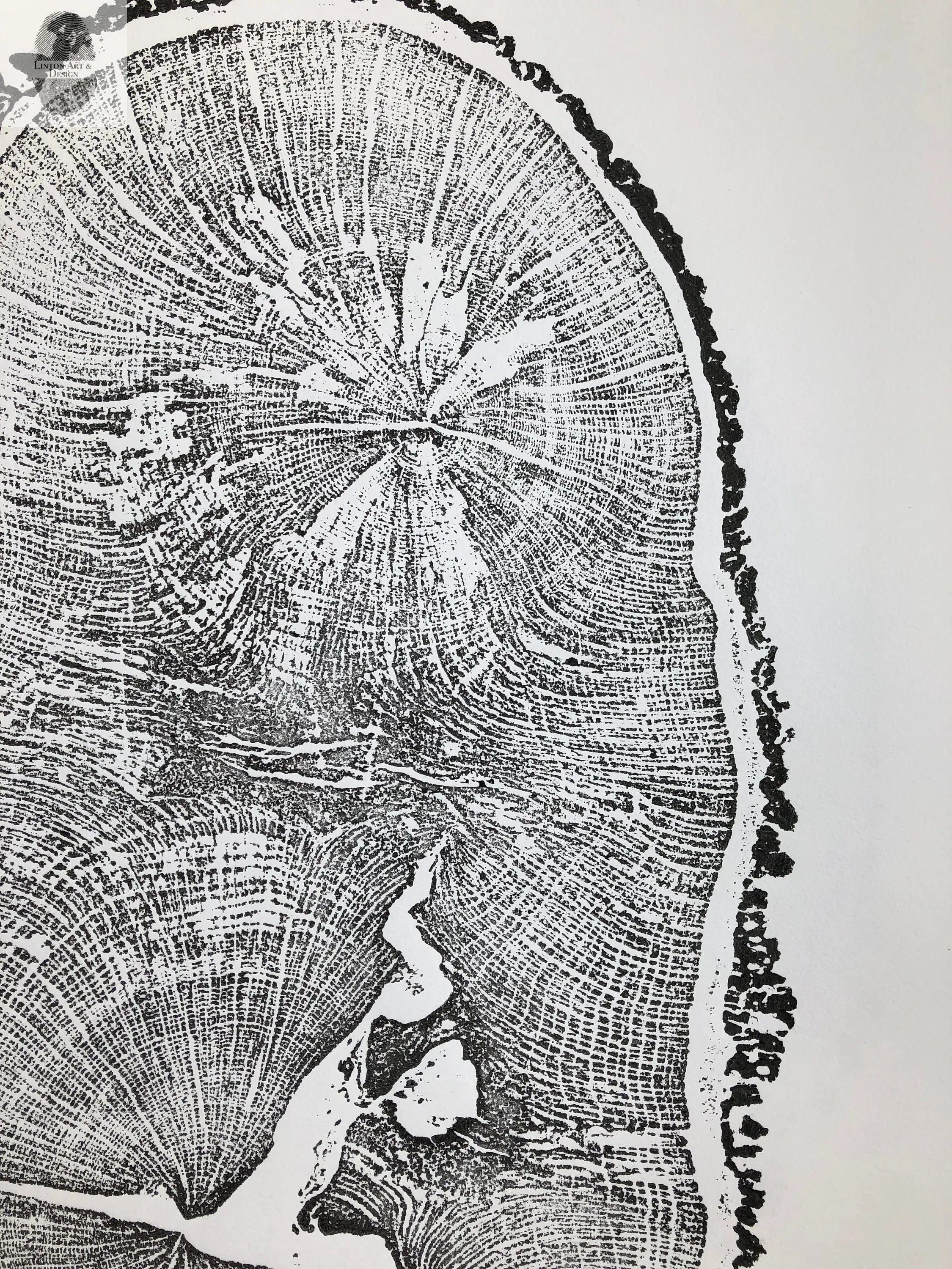 English Oak, Tree Ring Art Print by Erik Linton, 18x24
