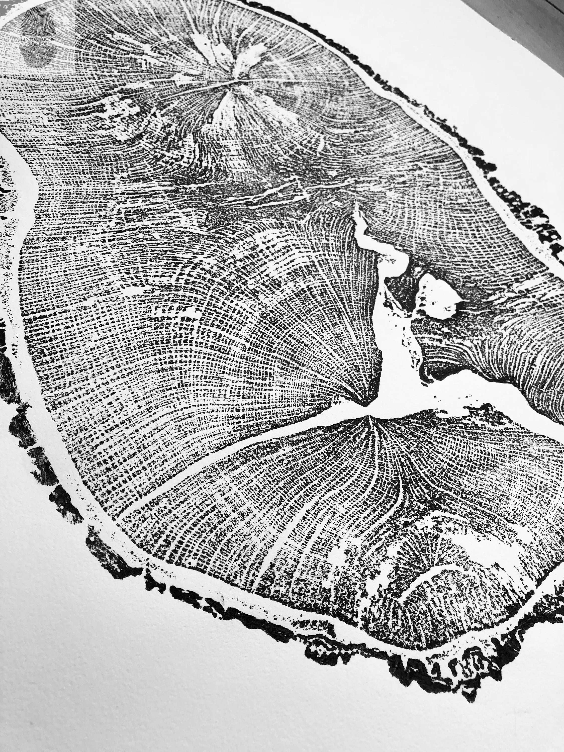 English Oak, Tree Ring Art Print by Erik Linton, 18x24