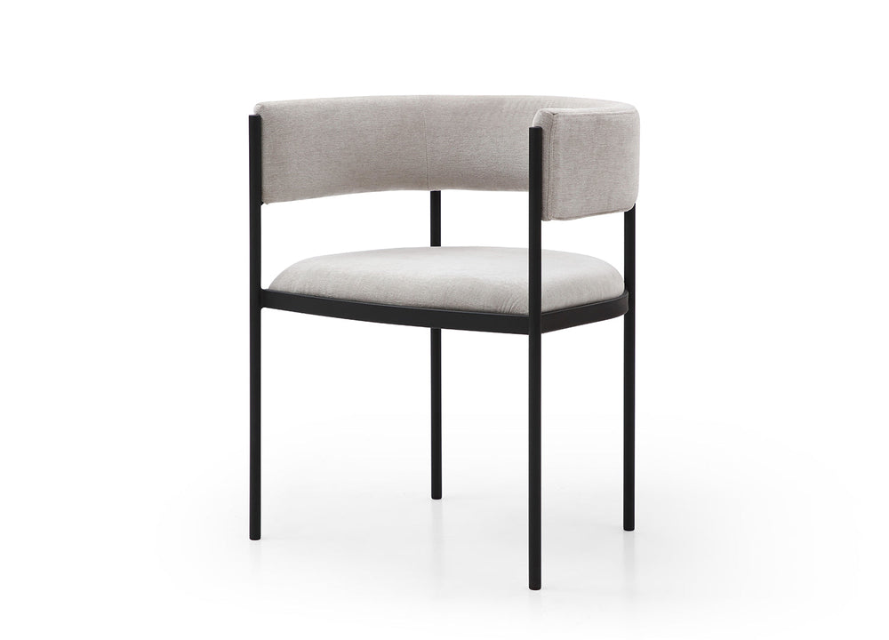 Envie Dining Armchair Set of 2 by DEKOR - main product image for Resin Society