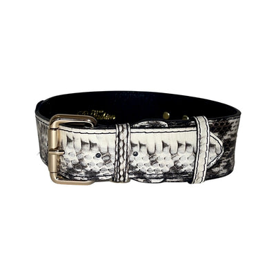 White & Black Classic Snake Collar with gold hardware and Italian leather lining