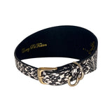 Black and white snake pattern dog collar about 3 inches wide with gold metal buckle and D-ring on a white background.
