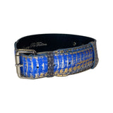 Classic collar with an elegant multi-color blue, silver, and gold snake pattern and silver hardware