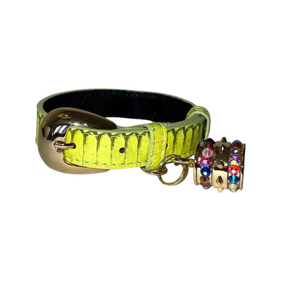 XS/S 7”-14” Light Neon Green Custom Snake Collar/Custom Gold Oval by Allysa Payne Beverly Hills - main product image for Resin Society