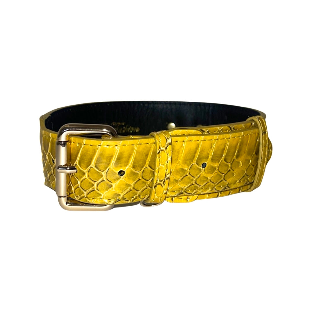 Mustard Yellow & Black Snake Classic Collar showing snake pattern and classic buckle