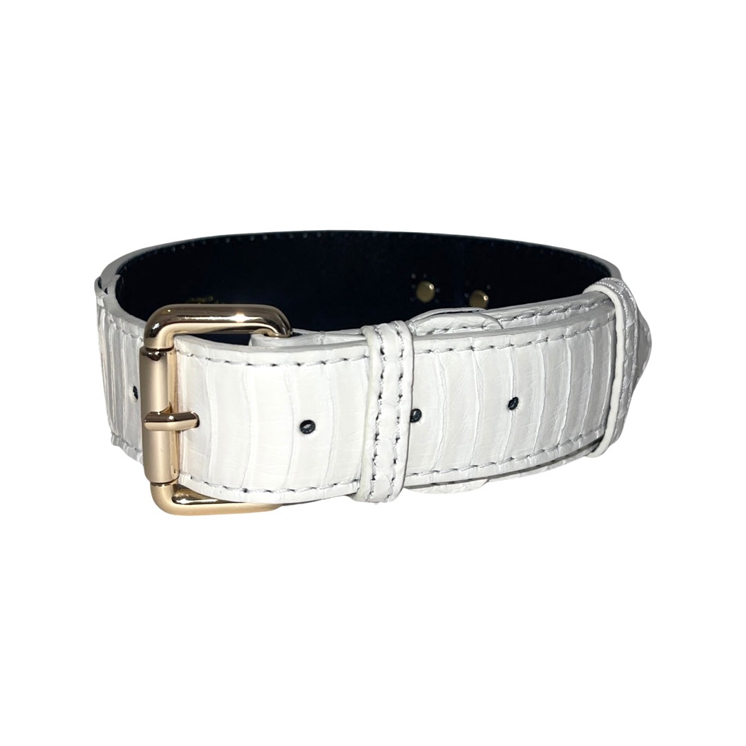 Matte white snake textured collar with gold buckle, laid flat on white background