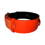 Bright orange dog collar with smooth synthetic outer surface and textured pattern near buckle, secured by matching orange loop and metal ring on black interior lining.