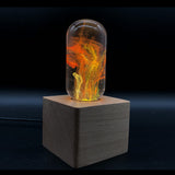 EP Light Fancy Resin Table Lamp with wooden base and unique resin design
