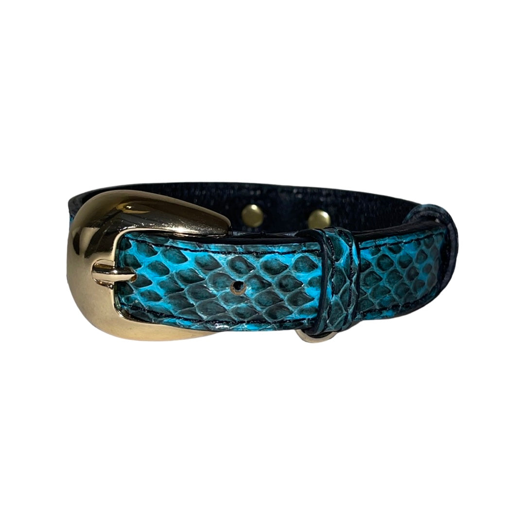 XS/S 7”-14” Turquoise & Black Custom Snake Collar/Custom Gold Oval by Allysa Payne Beverly Hills - main product image for Resin Society