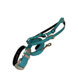Turquoise blue embossed croc leather dog collar and leash set featuring large rhinestone-studded buckle and silver hardware, shown coiled against a white background.
