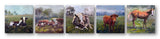 Farm Set by John Beard Collection - main product image for Resin Society