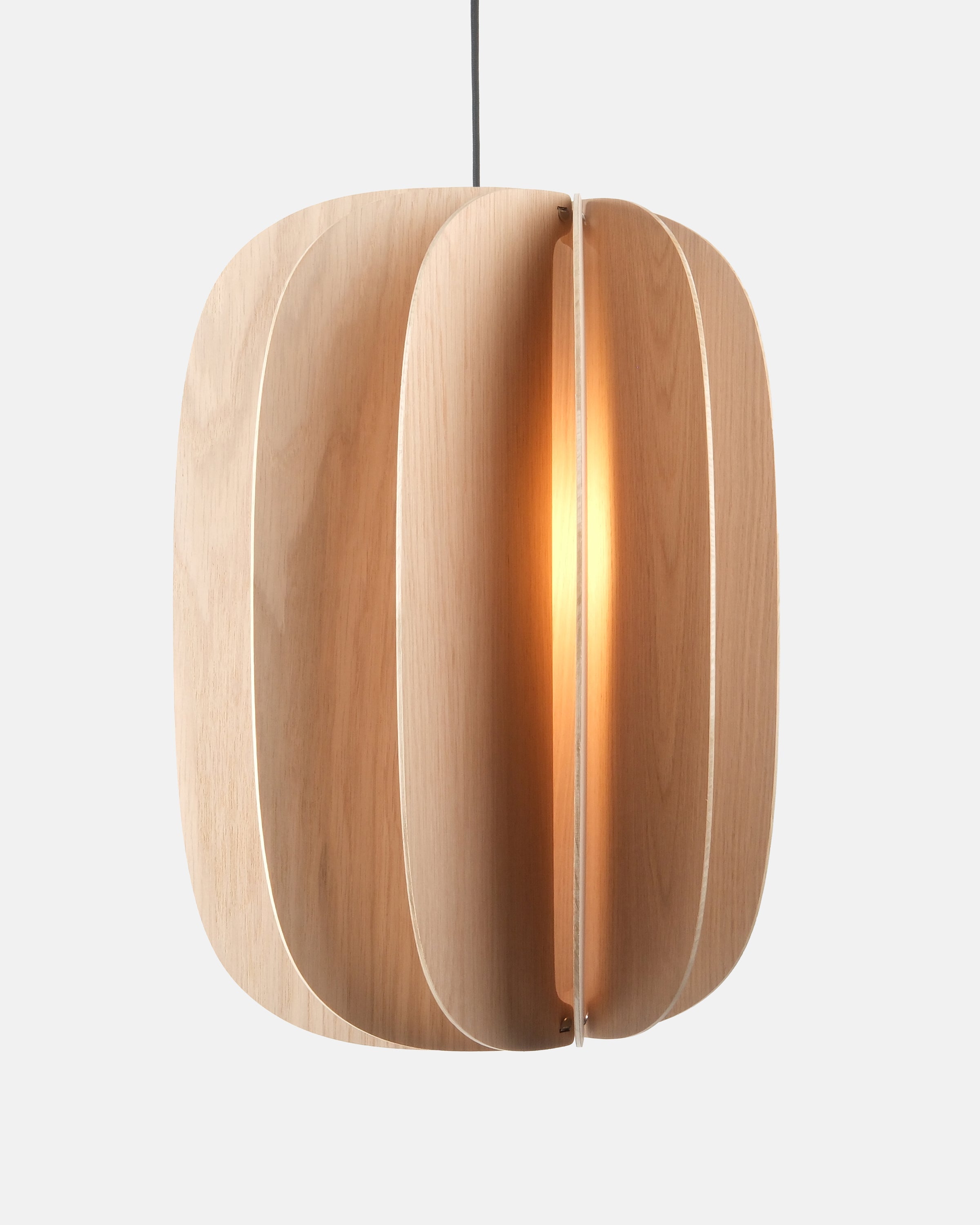 Fin III Pendant by Misewell - main product image for Resin Society