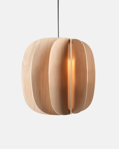 Fin II Pendant by Misewell - main product image for Resin Society