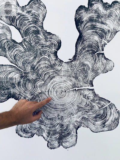 Large 36x36 inch woodcut print of Florida cypress tree rings and Everglades art by lintonart