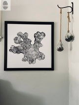 Black and white print of an irregular tree ring pattern in a square black frame on a white wall, next to two hanging teardrop-shaped glass terrariums with small plants.