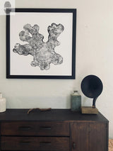 Black and white framed tree ring print in an irregular shape hangs above a dark wooden dresser with ceramic and glass decorative items and a vintage horn speaker.
