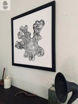 Black and white print of a uniquely shaped tree ring cross-section in a black frame, hung on a textured light gray wall above a dark table with decorative objects.