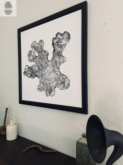 Florida Print, Everglades Art, Big Cypress, Osceola, Tree Ring Print, Huge Wall Art