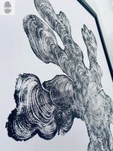 Black and white print of an irregularly shaped tree ring cross-section with detailed concentric growth rings and textured edges on a white background, framed at the corner.