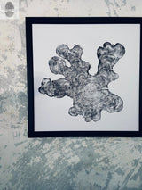 Black and white wood cross-section print with irregular, organic shape, mounted in a simple black frame on a textured light-colored wall.