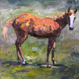 Foal Artist Enhanced Canvas Print by John Beard Collection - main product image for Resin Society