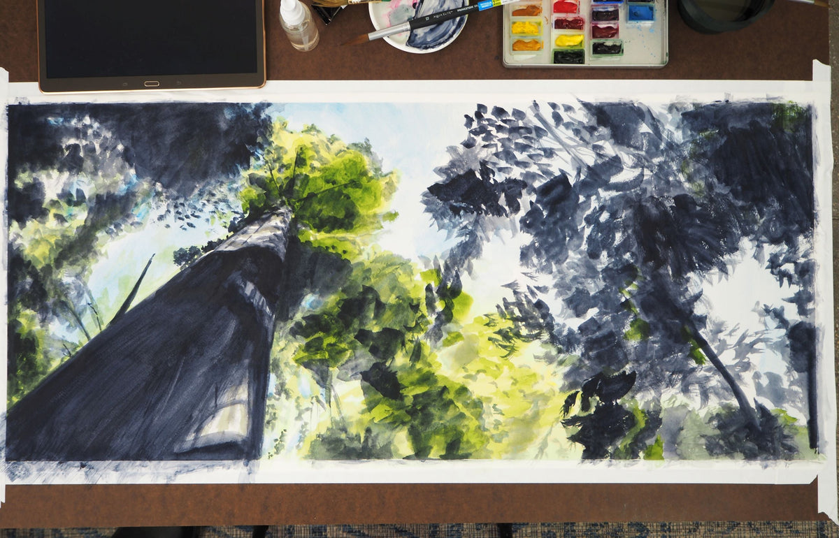 Beneath the Redwoods 2, Sonoma, watercolor painting by Art By Francis - product image 2 for Resin Society