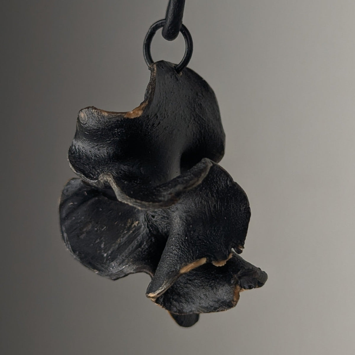 Fucalophrys by Versiliy - product image 2 for Resin Society