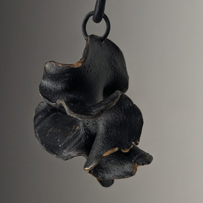 Fucalophrys by Versiliy - product image 2 for Resin Society