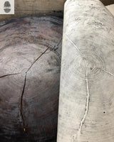 Oregon Coast Sitka Spruce - 52x60 - Tree Wall Art by lintonart - product image 9 for Resin Society