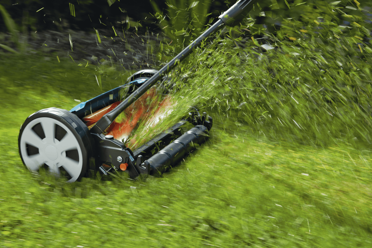 Close-up of a green and black manual cylinder lawnmower cutting grass, scattering clippings in mid-air on a sunny lawn.