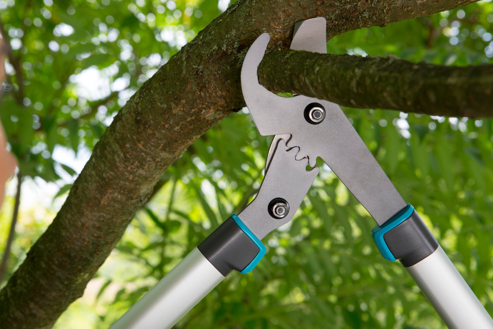 Pruning Lopper EnergyCut 750 B