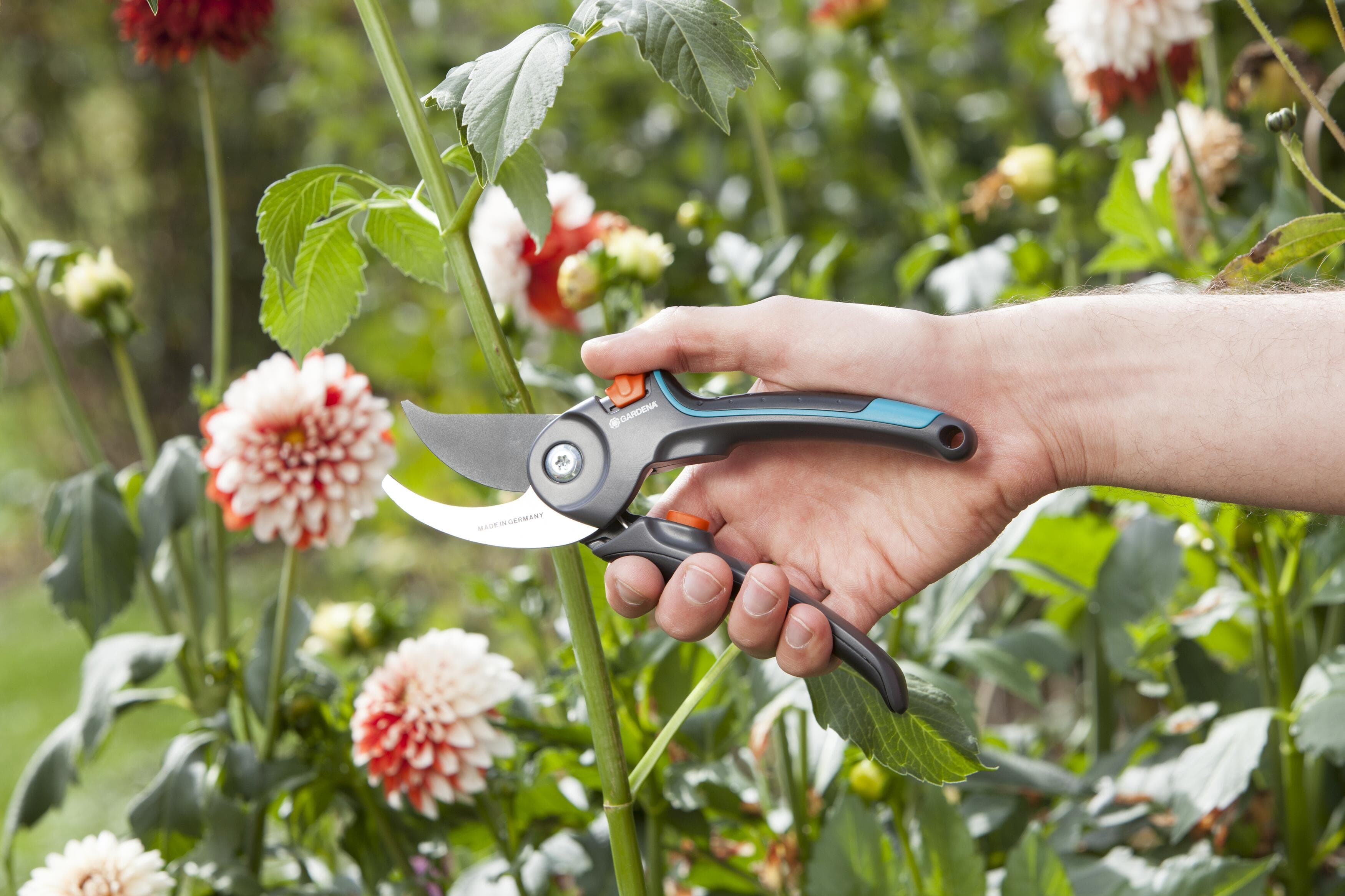 Garden Secateurs B/M