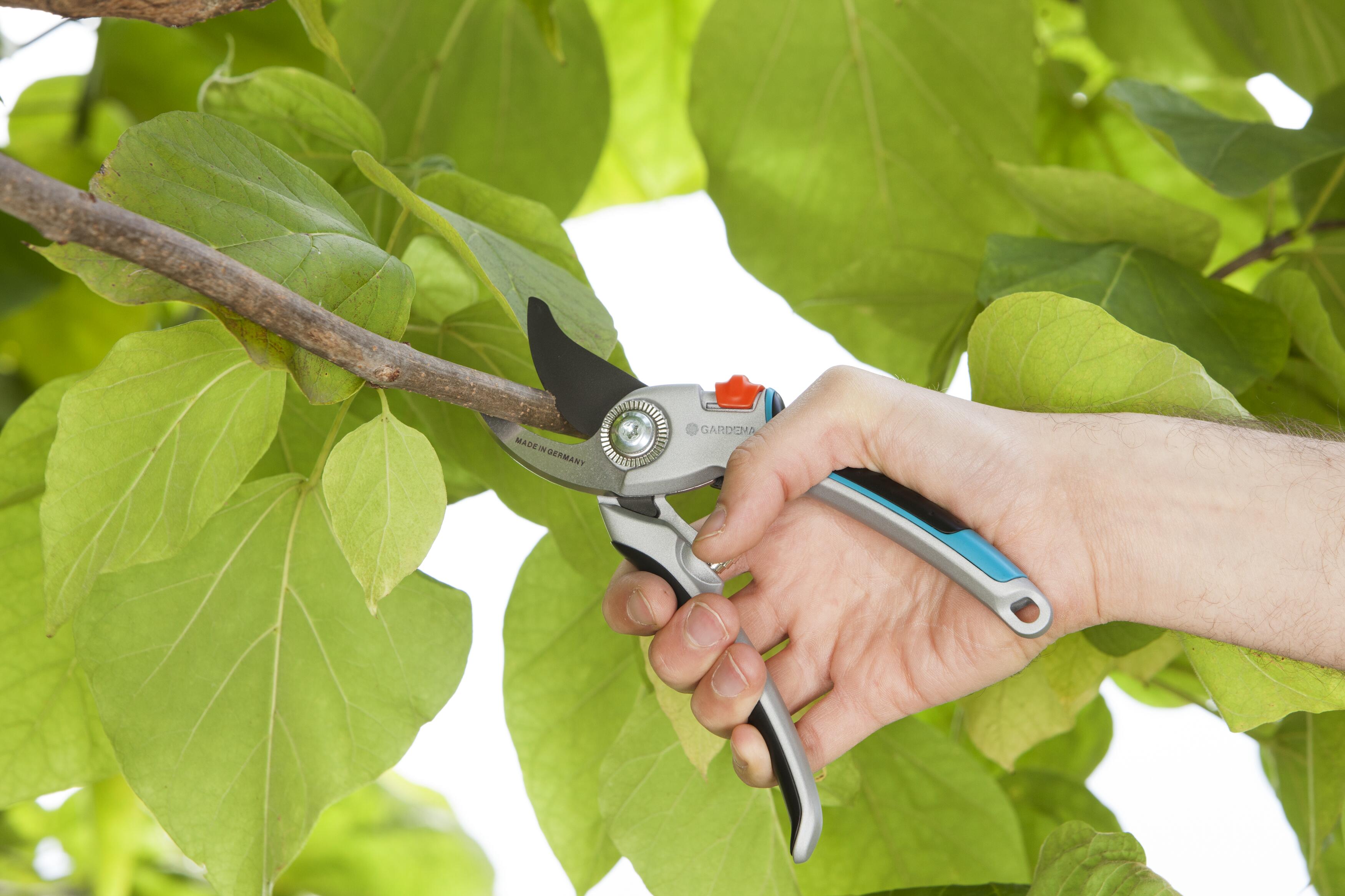 Alu Garden Secateurs B/L