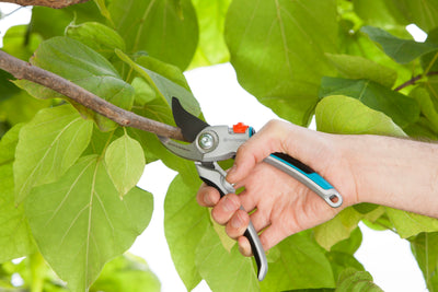 Alu Garden Secateurs B/L