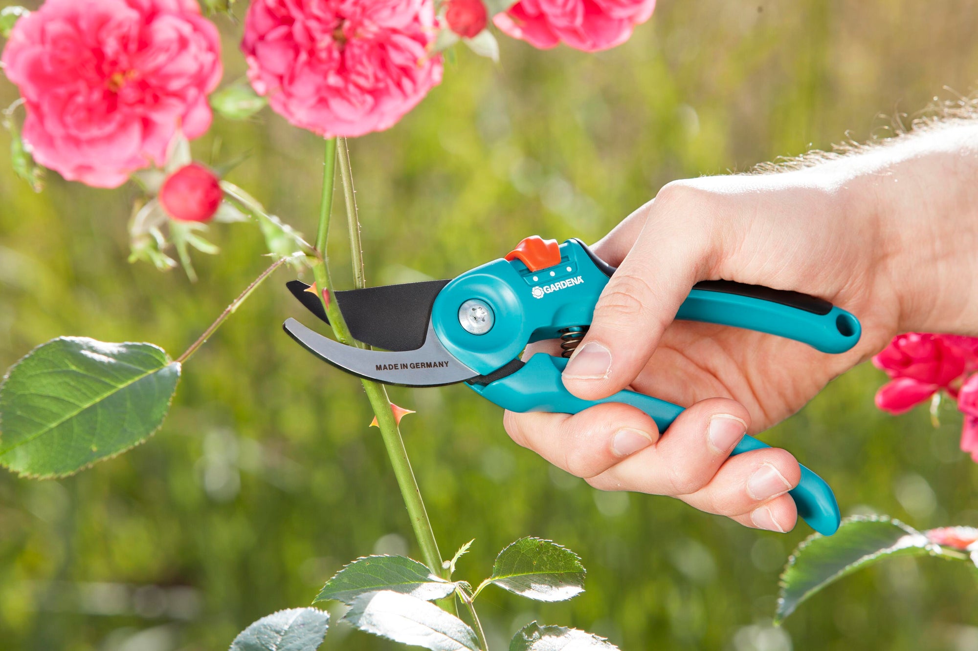 Garden Secateurs B/S-M