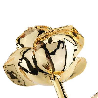 Timeless Rose (Gold) by ROSEPHORIA