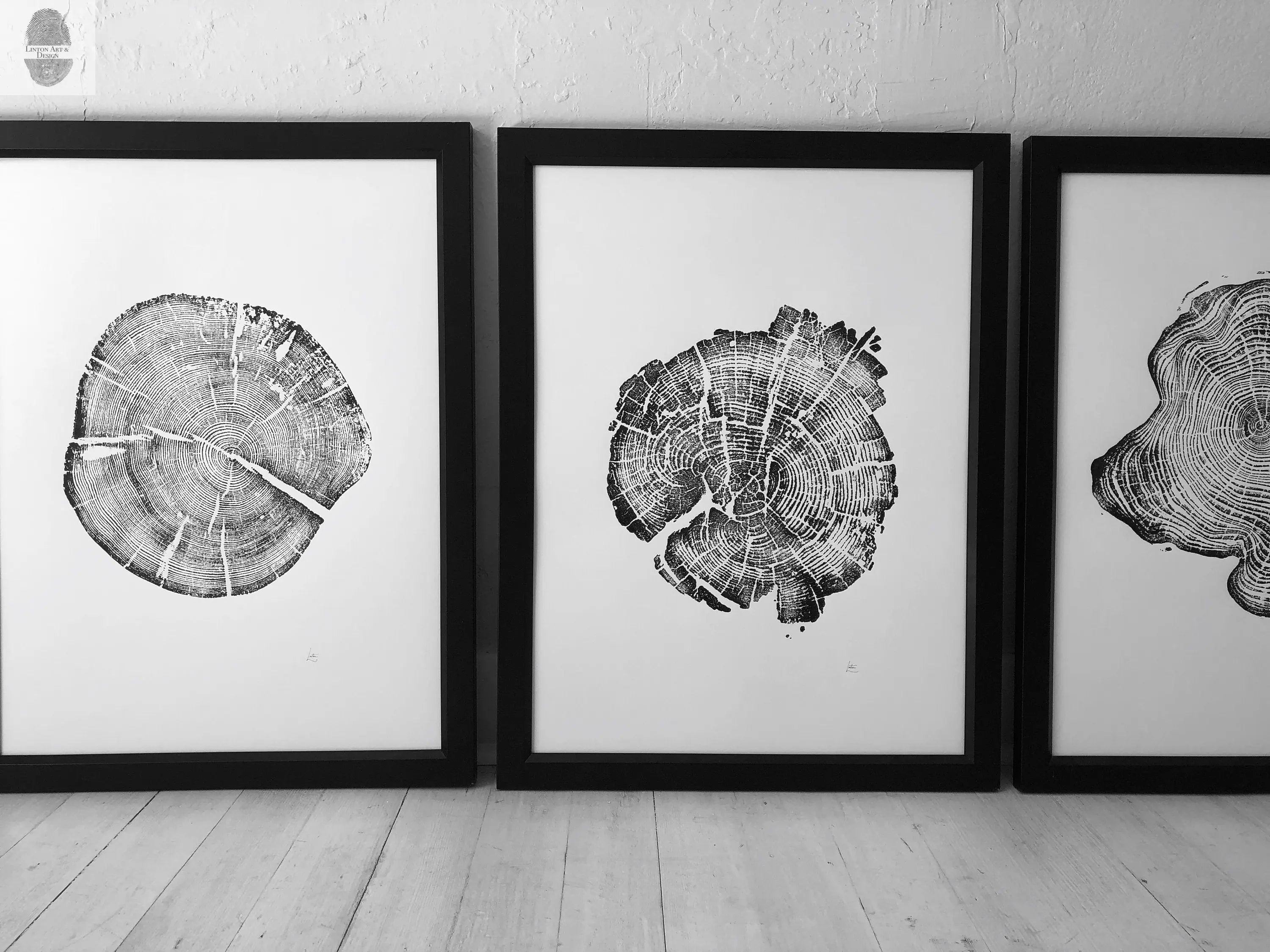 Set of three 18x24 tree ring woodcut prints from Alaska, Yellowstone, and Grand Tetons by lintonart