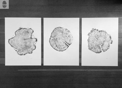 Grand Tetons, Alaska, Wyoming, Idaho Tree Ring Woodcut Art Prints - 18x24