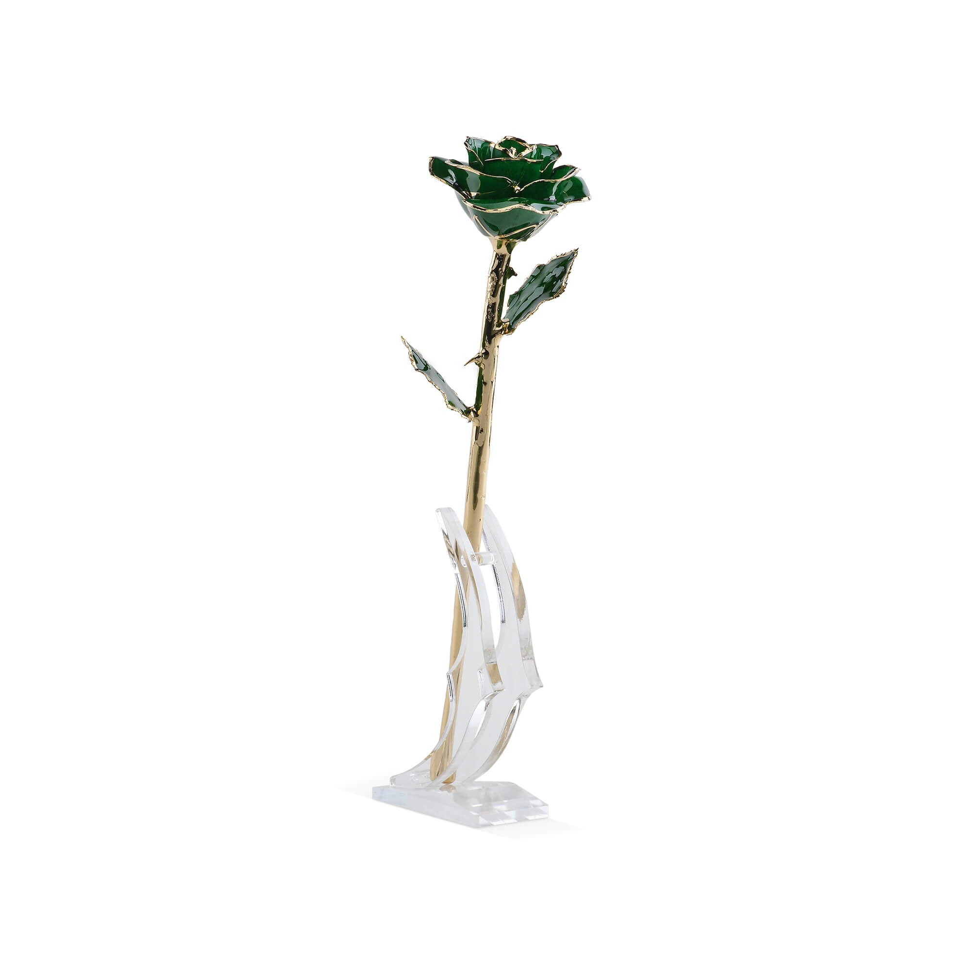 Timeless Rose (Green) by ROSEPHORIA