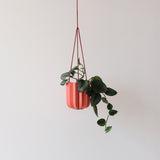 Coral pink geometric hanging planter with trailing green leaves suspended by three thin red cords against a pale neutral wall.