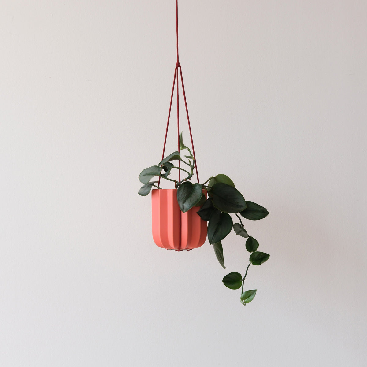 Coral pink geometric hanging planter with trailing green leaves suspended by three thin red cords against a pale neutral wall.