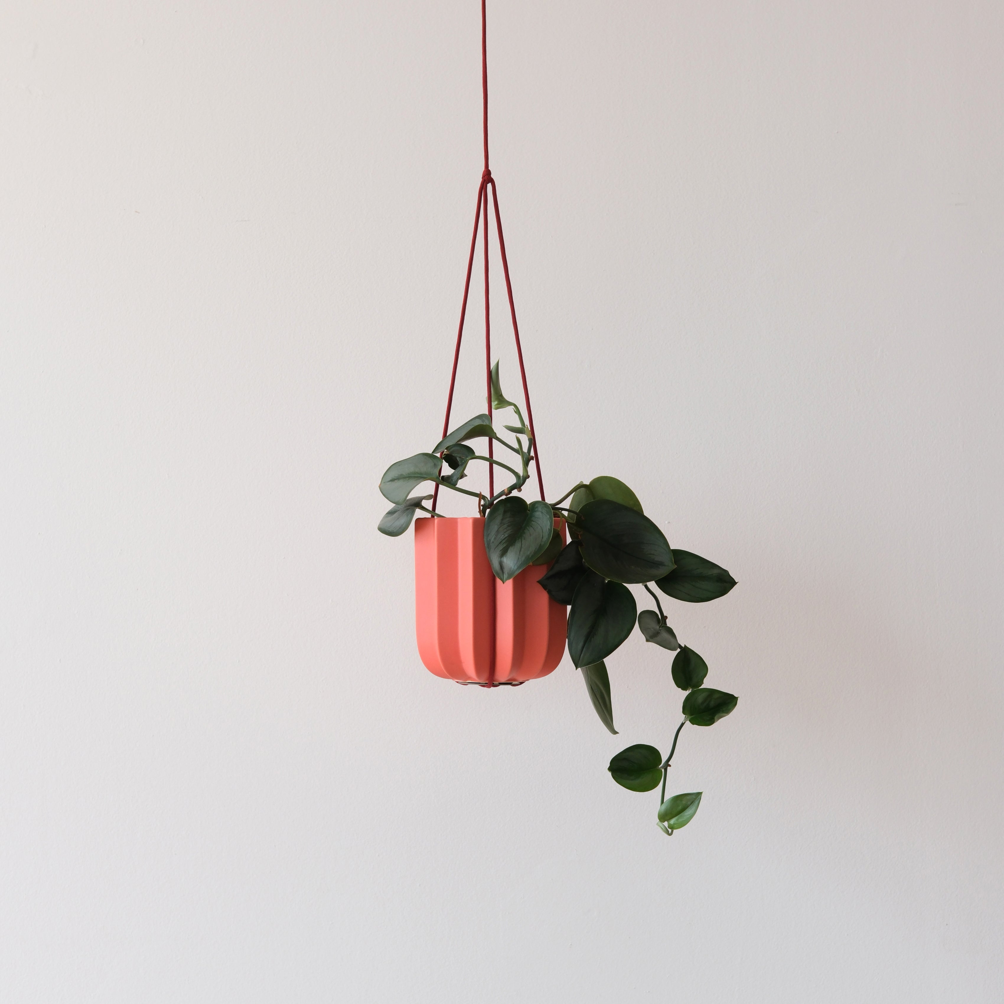 Wrap Hanging Kit by Misewell