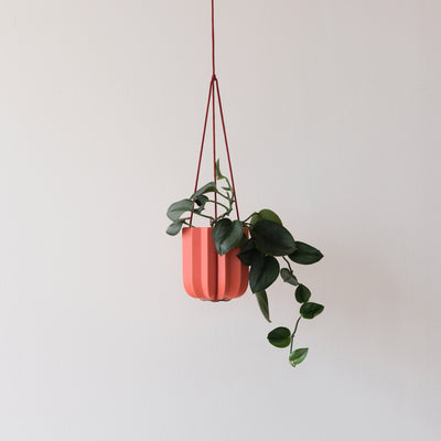 Wrap Hanging Kit by Misewell