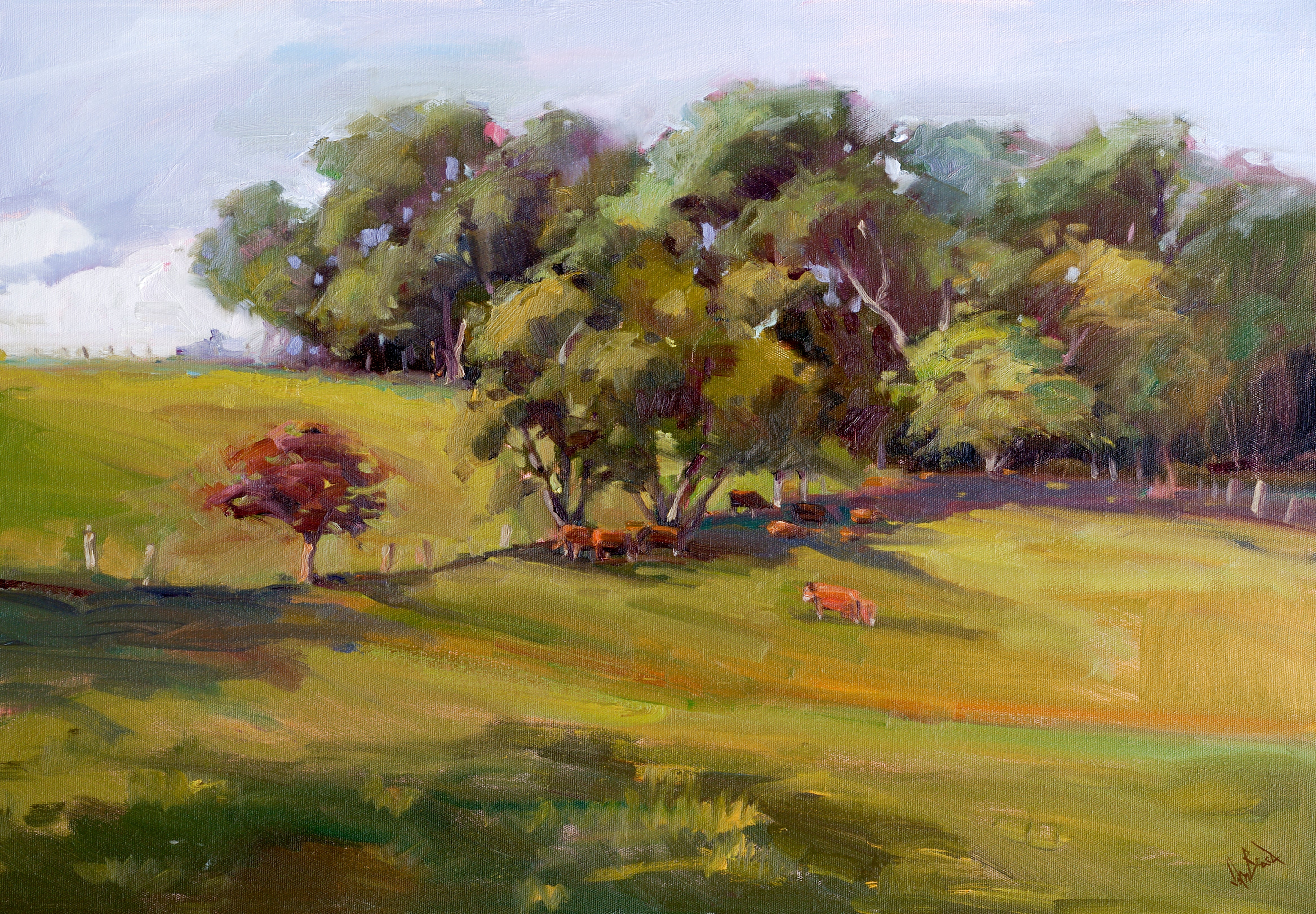 Hillside Pasture Artist Enhanced Canvas Print by John Beard Collection - main product image for Resin Society