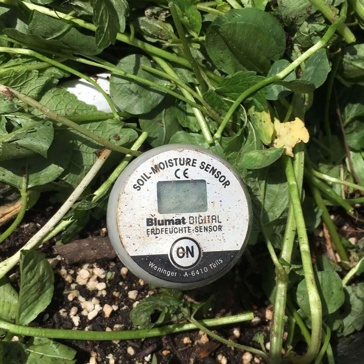Blumat Digital Moisture Meter Kits by Sustainable Village - product image 6 for Resin Society